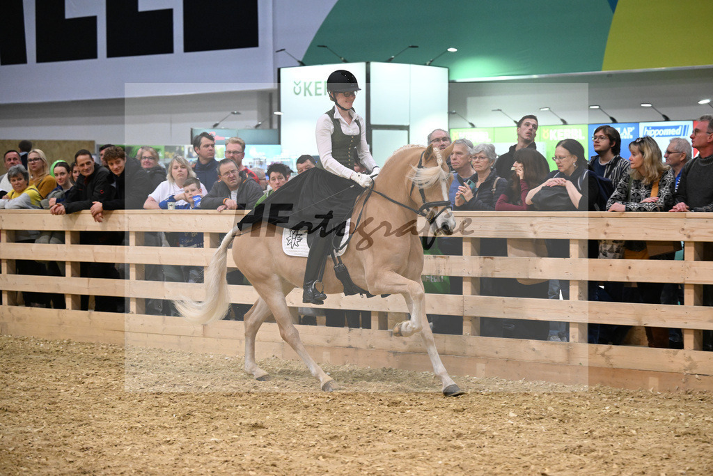 Schauprogramm_DSP Daria_1260862 | hf-fotografie - Realisiert mit Pictrs.com