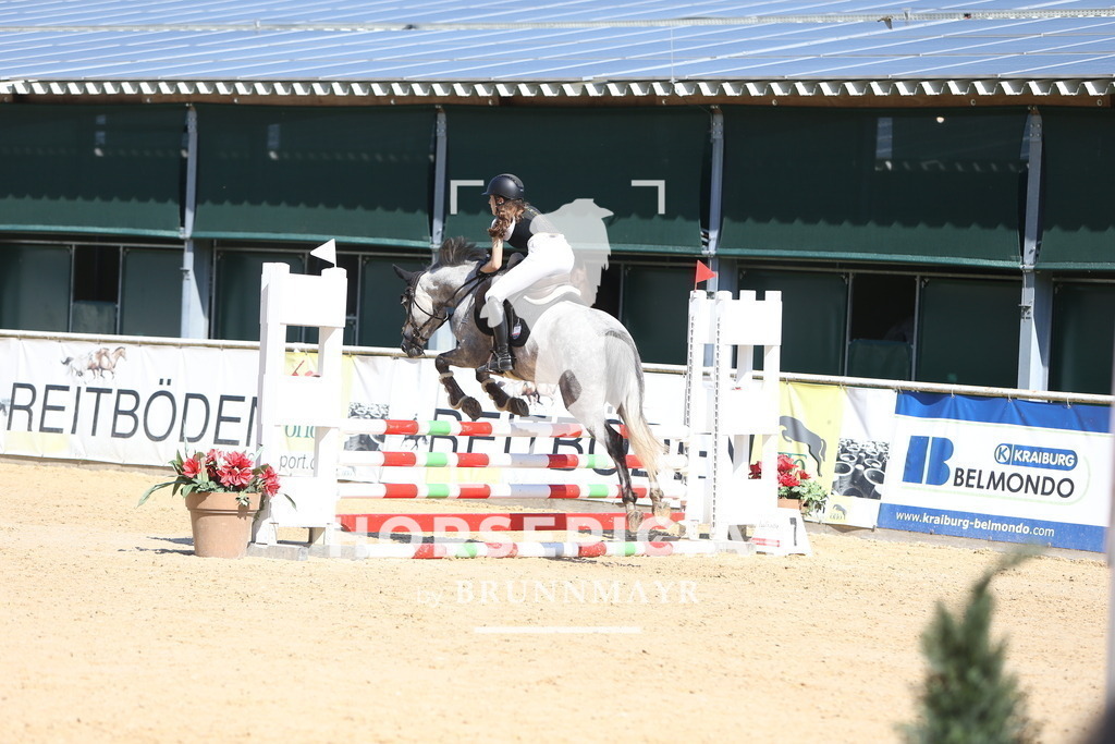 DL2Q8578 | Willkommen bei Brunnmayr - Design & Fotografie – Ihrem Spezialisten für Reitturniere und Pferdeveranstaltungen in Oberösterreich, Salzburg und Bayern! Seit über 17 Jahren sind wir leidenschaftlich dabei.