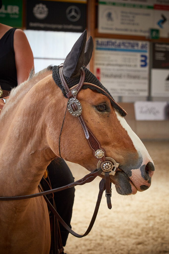 2020_07_19 Schweizersbild 095 | Peter Fridle Fotografie - Realisiert mit Pictrs.com