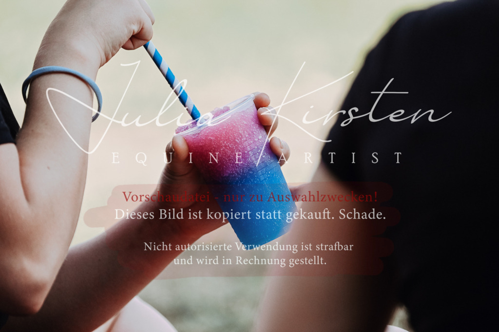 DSC_8835 | Pferde- und Turnierfotografie in Westsachsen. Pferdeportraits, Auftragszeichnungen und intuitive Kunst.