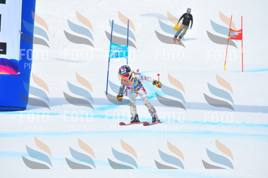 DSC_2389 | holidayphoto