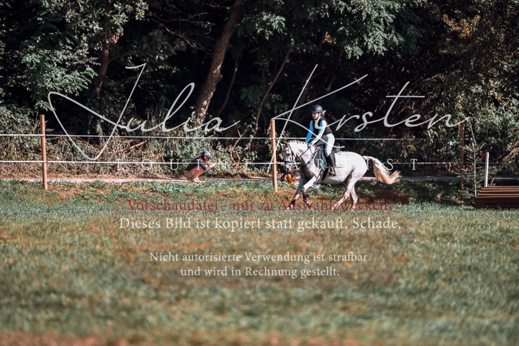 DSC_0654 | Pferde- und Turnierfotografie in Westsachsen. Pferdeportraits, Auftragszeichnungen und intuitive Kunst.