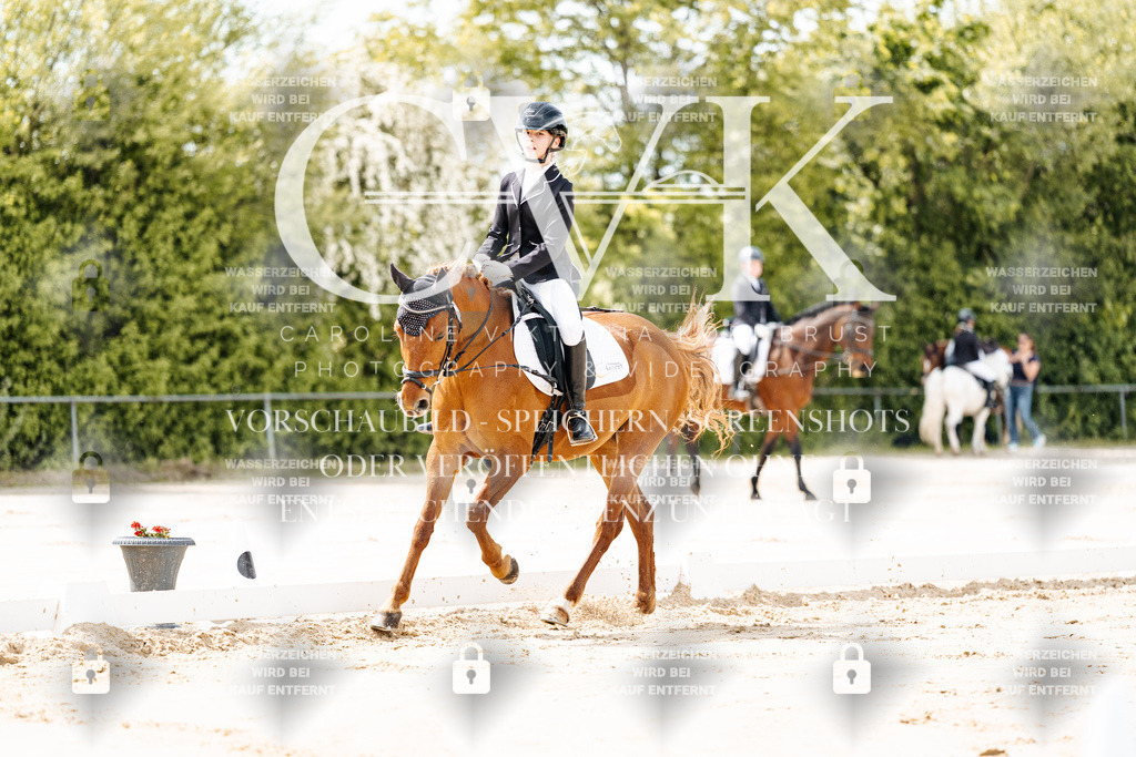 CK901705 | Turnierfotografie Pferdefotografie Trier Rheinland-Pfalz Pferdesport Reitsport Tierfotografie Sportfotografie Pferdevideo Pferdevideografie Equestrianvideography equestrianphotography  - Realisiert mit Pictrs.com