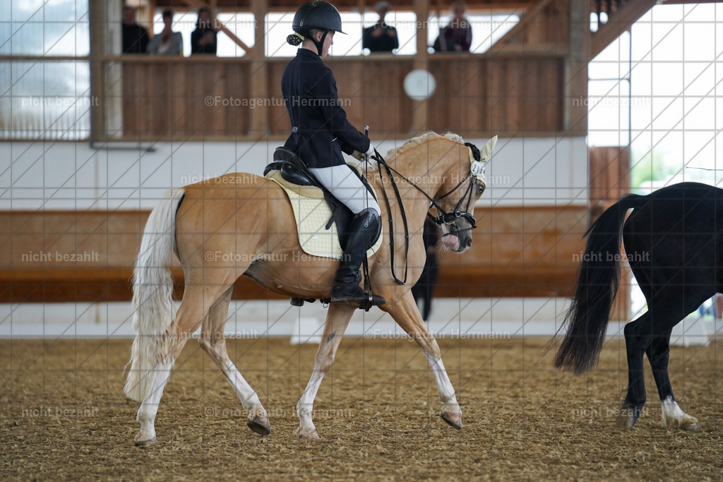 FAH09341 | Turnierbilder, Reitsportfotos, LAPO, Landesponyturnier, Turnierfotografen Bayern