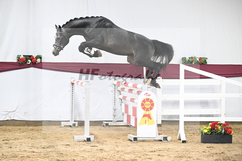 Kat-Nr. 92 Vingino x Stolzenberg_Markus u Leonhard Diez_47252661 | hf-fotografie - Realisiert mit Pictrs.com