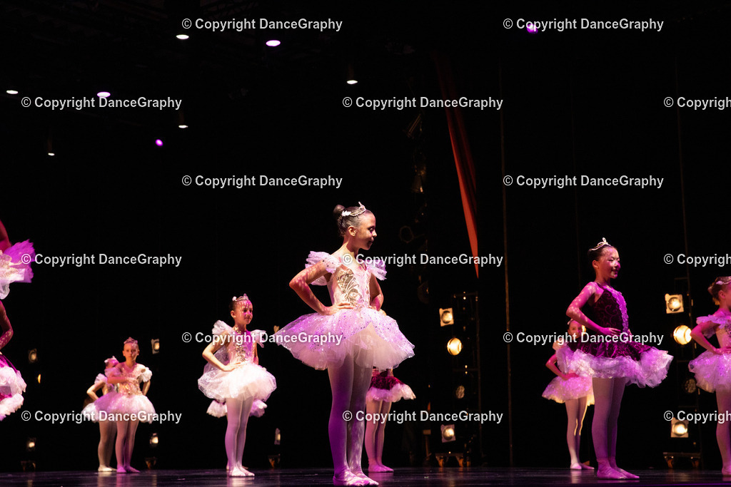 GPHY4442 | DanceGraphy - Realisiert mit Pictrs.com