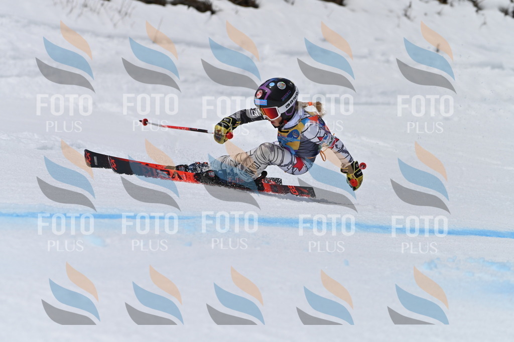 BGV_5103 | holidayphoto