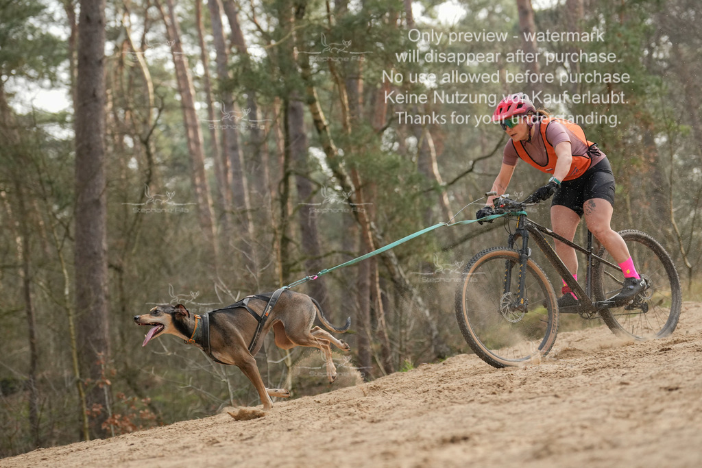 Bike1-280 | stephaniefillaphotographie - Realisiert mit Pictrs.com