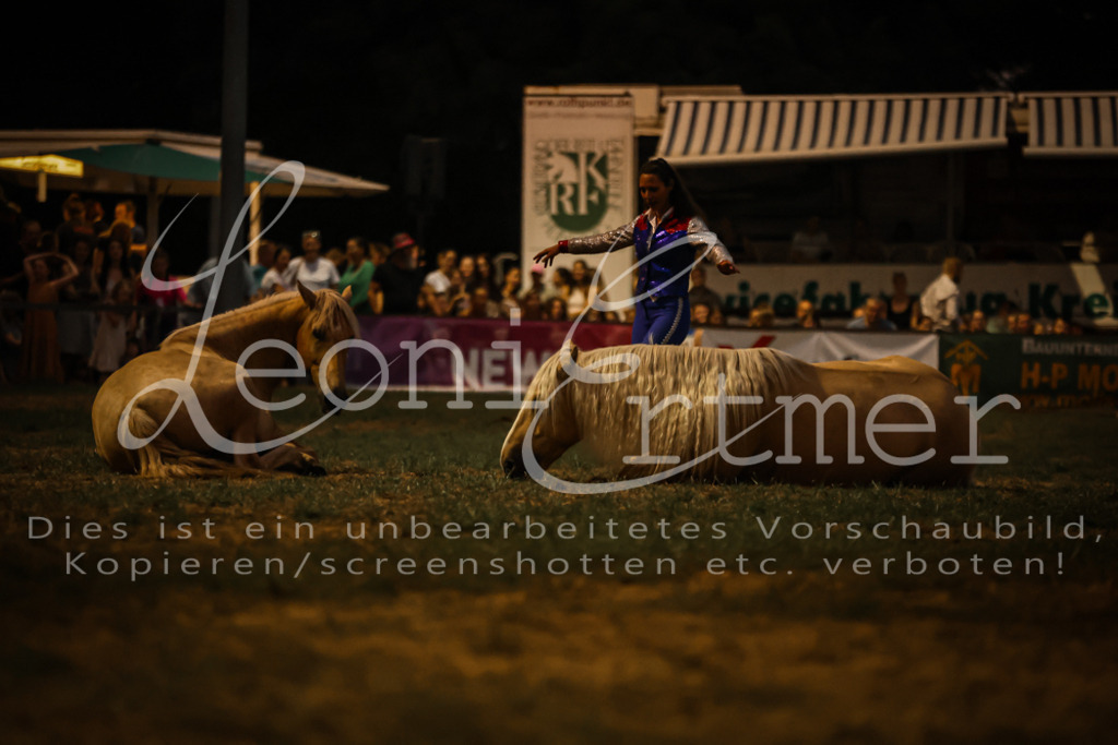 SaShow00286 | Leoni Ertmer Photography - Realisiert mit Pictrs.com