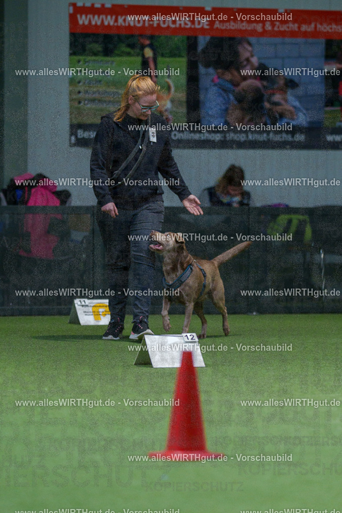 7R501306 | Professionelle Tierfotografie in Mönchengladbach von Daniel Wirth (allesWIRTHgut). Liebevolle & natürliche Bilder von Hunden & Katzen für unvergessliche Erinnerungen.