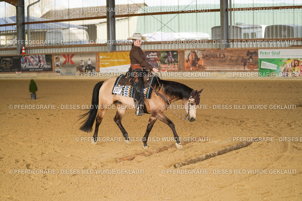 DSC01830 | Pferdegrafie