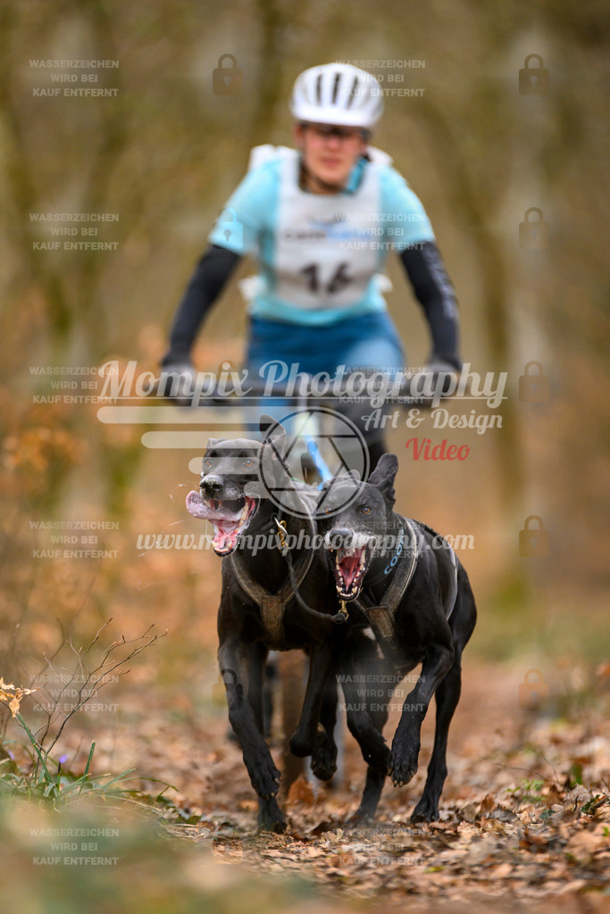 MompixPhotography_ReiatRennen2024_SO_Bike2H-9 | PayLife