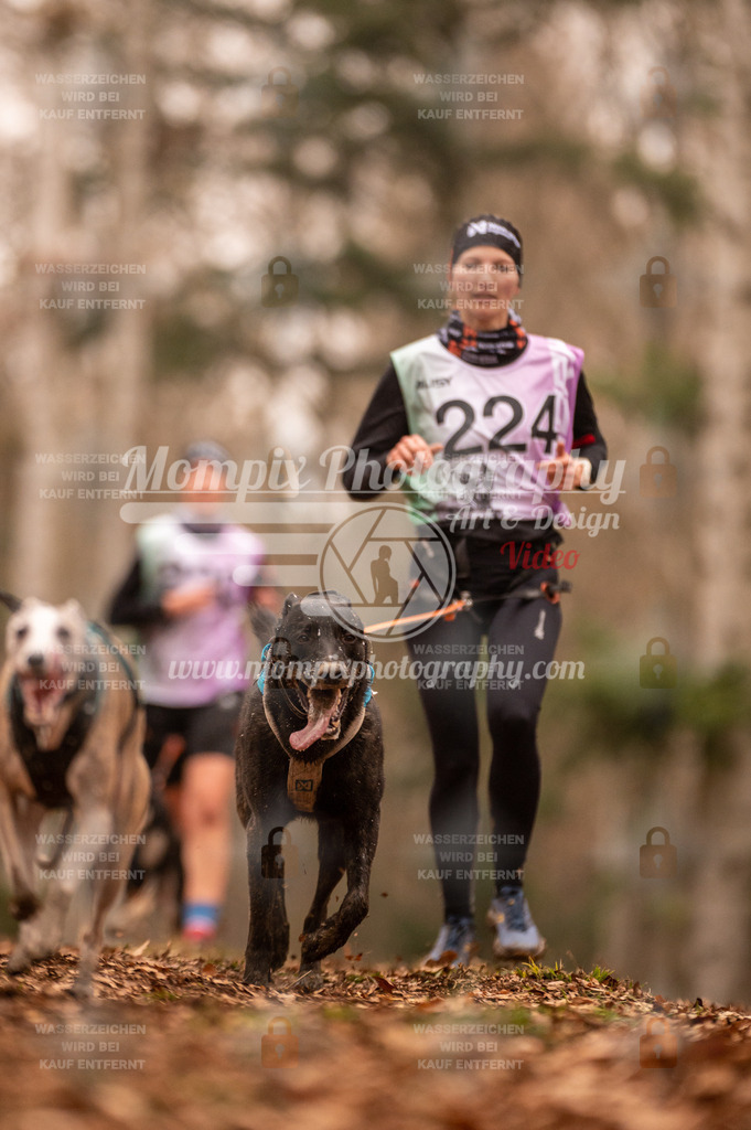 AKM_ST_2023_SAM_Run-40 | PayLife