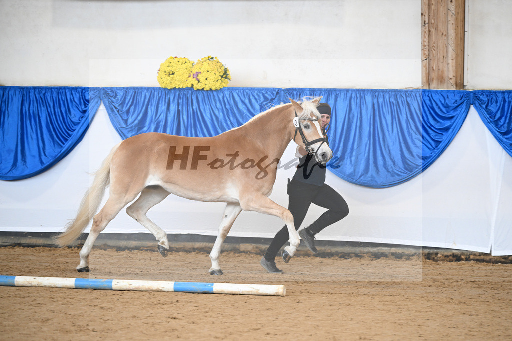 Bl. Band Kat-Nr. 3 Lorena v. Sterlington_Weber_48251237 | hf-fotografie - Realisiert mit Pictrs.com