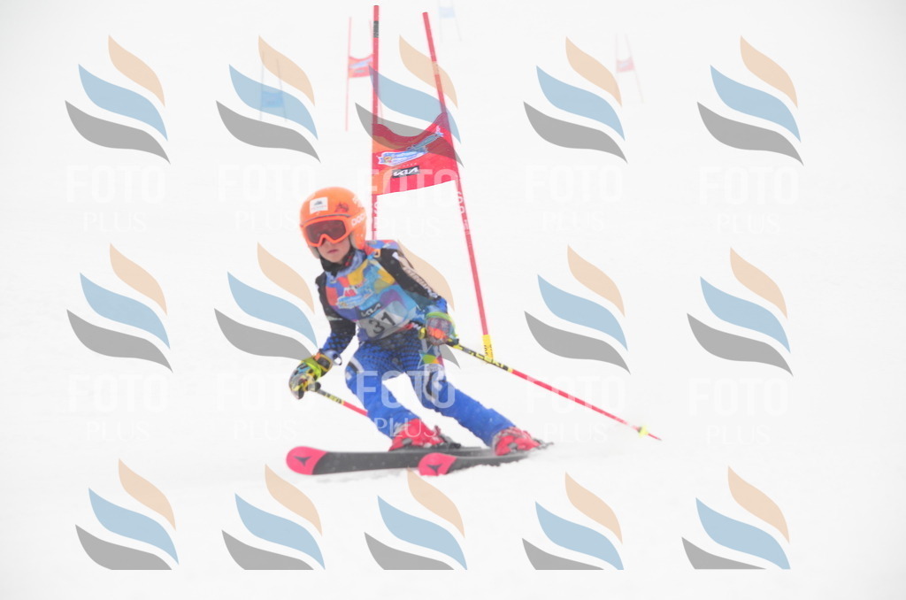 C0764 | holidayphoto