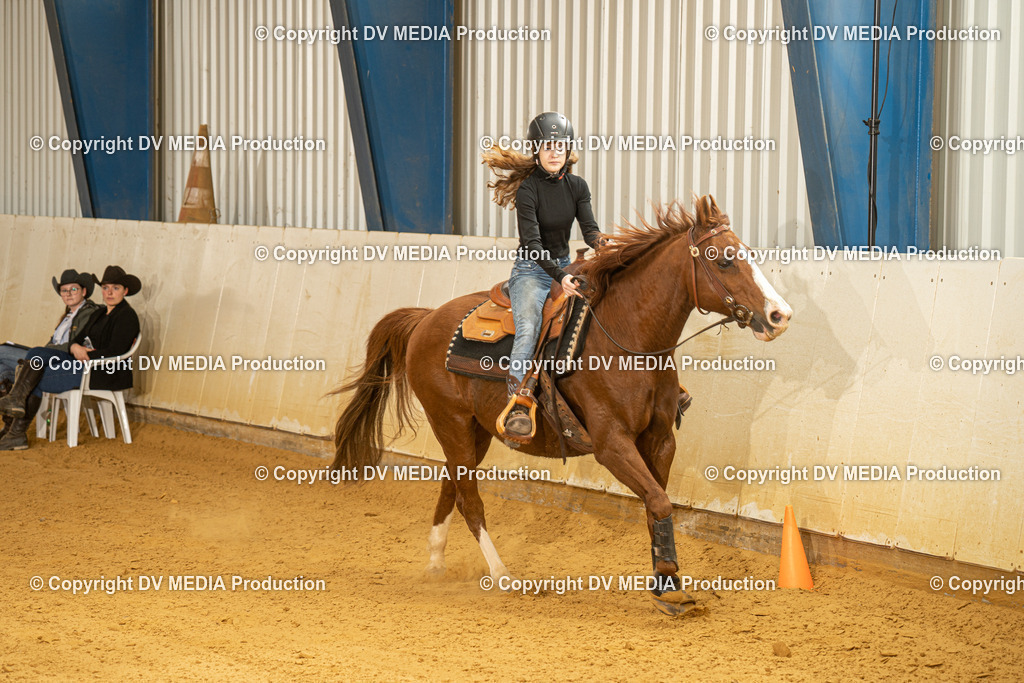 MIT00184 | dv-media-shop - Realisiert mit Pictrs.com