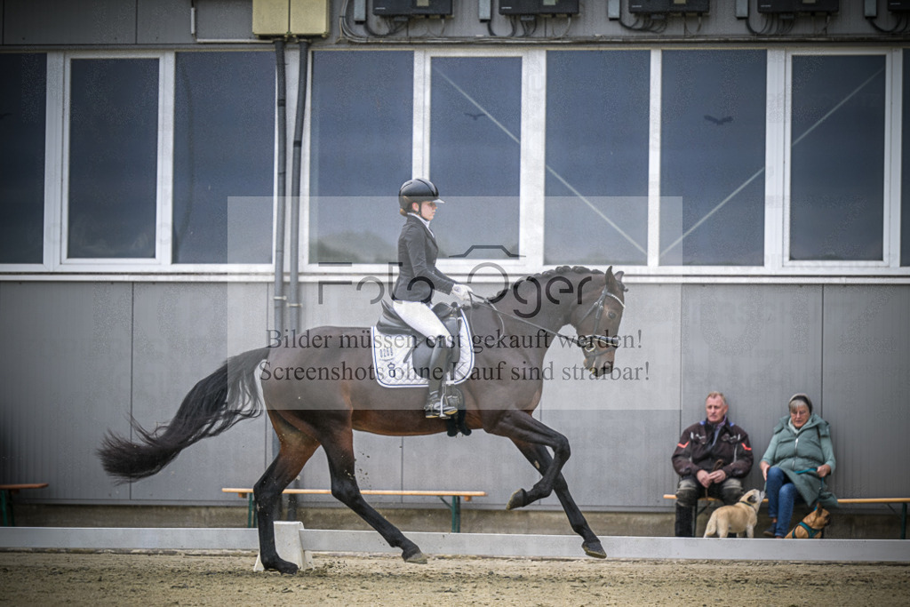 DOS_0922 | Entdecke hochwertige Reitturnierfotos von Foto Oger. Professionell, emotional und authentisch – jetzt Lieblingsmomente im Shop bestellen.Deutschlandweite Turnierfotografie. - Realisiert mit Pictrs.com