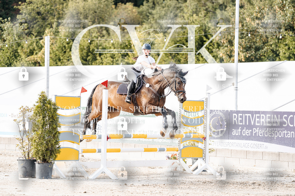 CK906411 | Turnierfotografie Pferdefotografie Trier Rheinland-Pfalz Pferdesport Reitsport Tierfotografie Sportfotografie Pferdevideo Pferdevideografie Equestrianvideography equestrianphotography  - Realisiert mit Pictrs.com