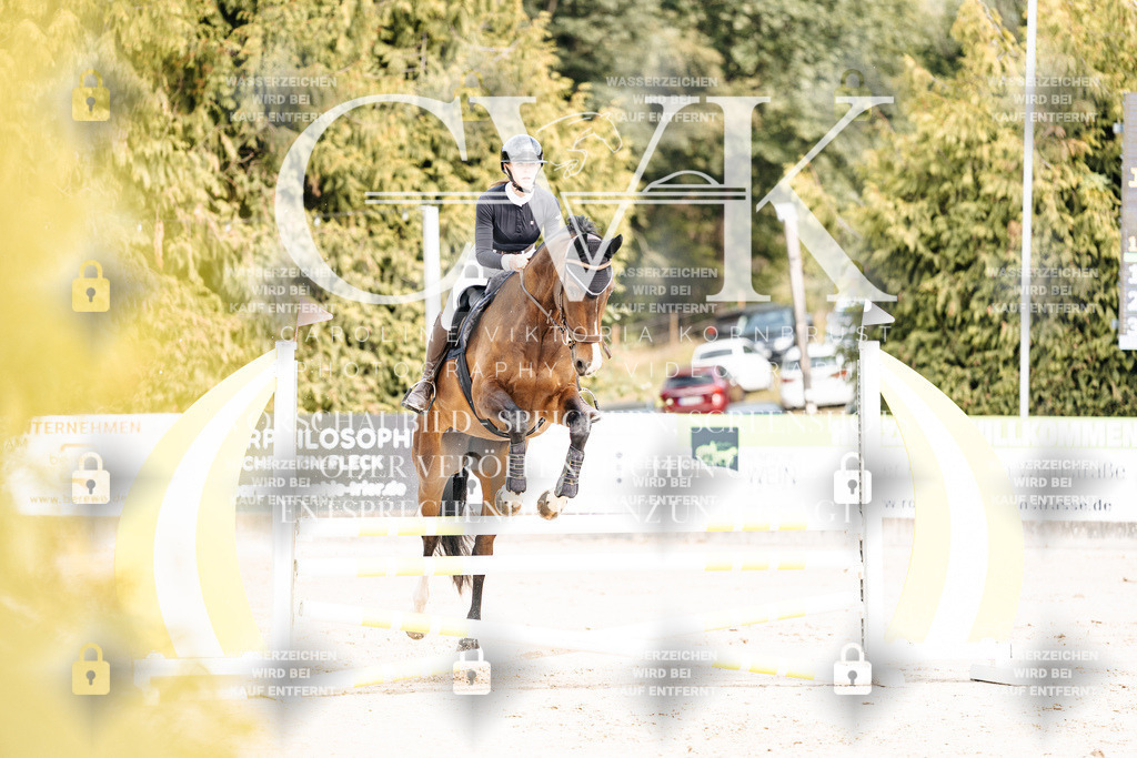 CK902175 | Turnierfotografie Pferdefotografie Trier Rheinland-Pfalz Pferdesport Reitsport Tierfotografie Sportfotografie Pferdevideo Pferdevideografie Equestrianvideography equestrianphotography  - Realisiert mit Pictrs.com