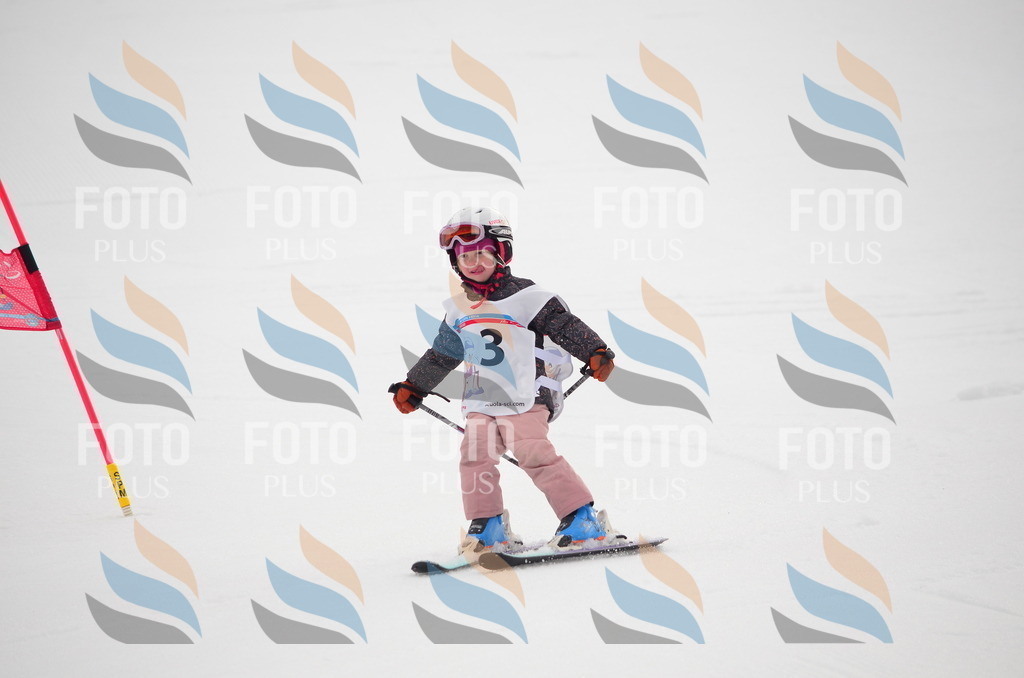 B9588 | holidayphoto