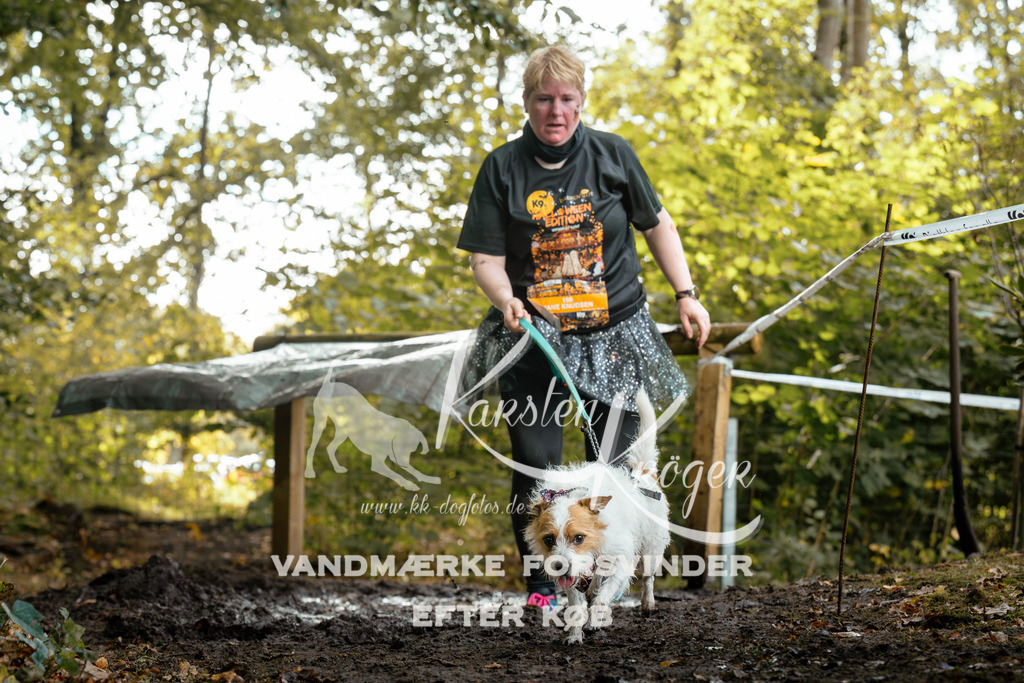 1401DZ6_0909Z6 | kk-dogfotos
