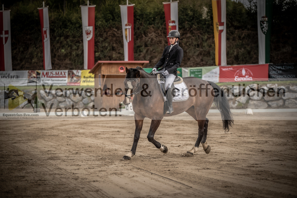 DSC_8314 | equestrian-live-com