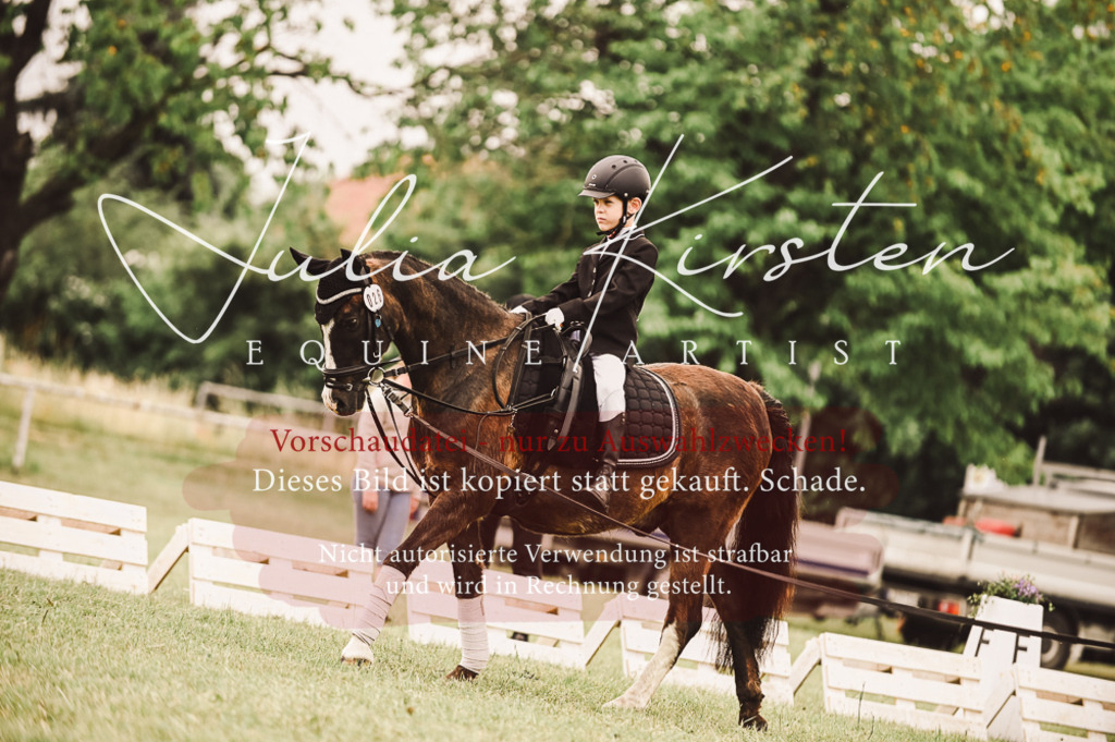 DSC_5294 | Pferde- und Turnierfotografie in Westsachsen. Pferdeportraits, Auftragszeichnungen und intuitive Kunst.