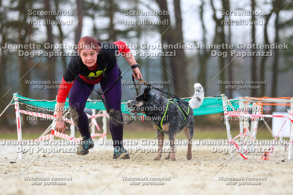 Dog Paparazzi - Strongdog North Mrz26-3896 | Dog Paparazzi Jeanette Grottendiek Fotografie & Videografie - Realisiert mit Pictrs.com