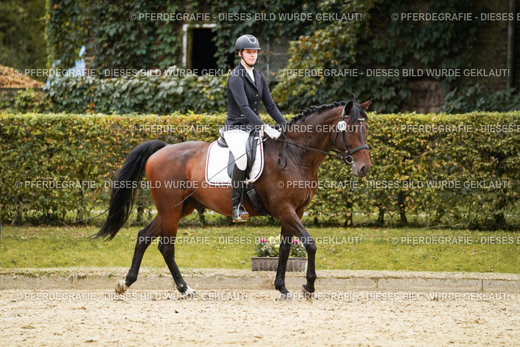 DSC09908 | Pferdegrafie