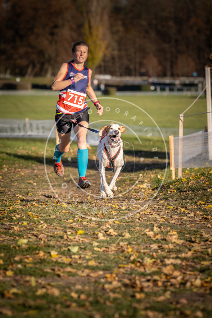 CaniXpix_DV3A1720 | Hundefotografie, Tierfotograf, Pfotenfotografie, Fotoshooting Hund, Hunde Portrait, Hundesport, Hundeportraits, Heideshooting, Hunde, Sportfotograf, Hundefotograf, Turnierhundsport, THS,  - Realisiert mit Pictrs.com