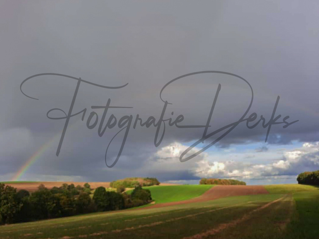 Bilder Homepage-59 | fotografie-derks - Realisiert mit Pictrs.com
