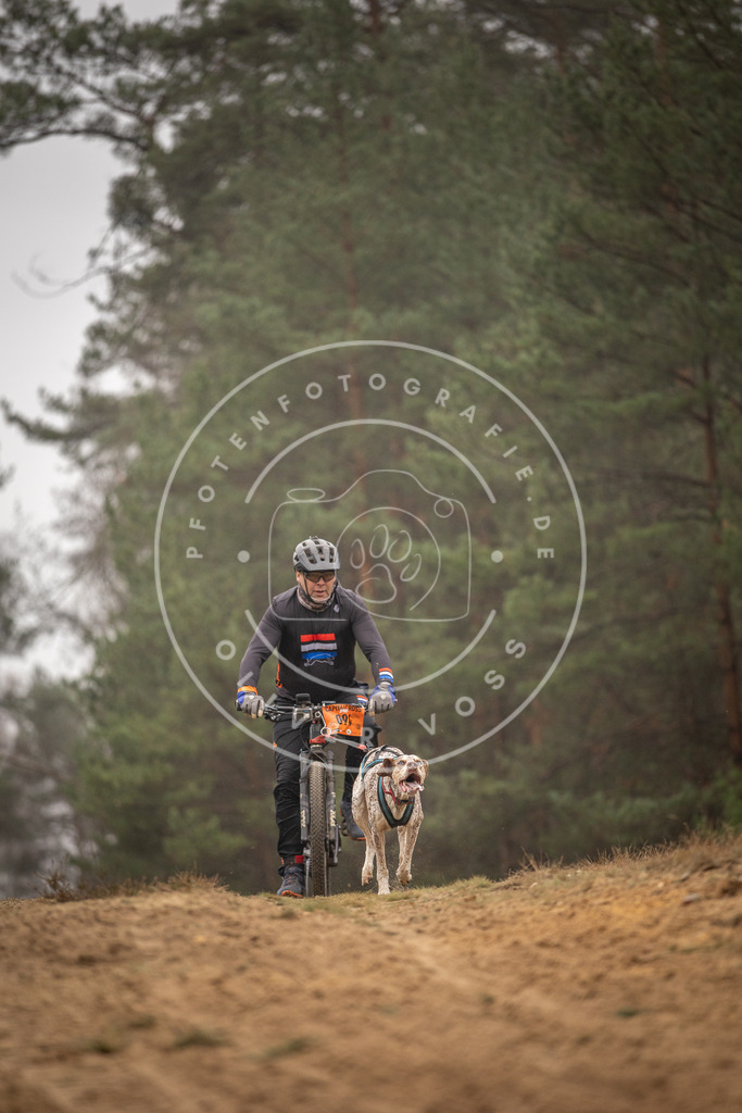Pfotenfotografie_DV3A3020 | Hundefotografie, Tierfotograf, Pfotenfotografie, Fotoshooting Hund, Hunde Portrait, Hundesport, Hundeportraits, Heideshooting, Hunde, Sportfotograf, Hundefotograf, Turnierhundsport, THS,  - Realisiert mit Pictrs.com