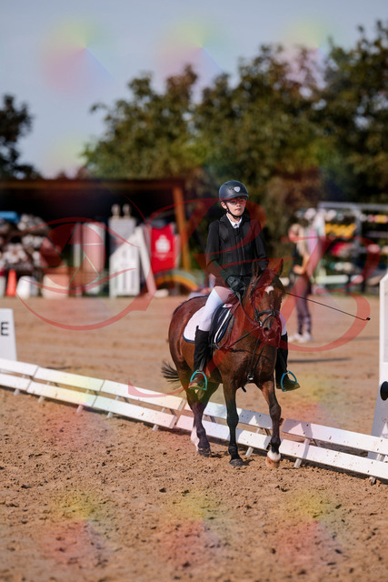 2026_10_03_Siefer-Hof_122043_Z81_21034244 | Professionelle Reitsport-, Turnier- und Eventfotografie von Robert Broda. Galerien mit ausgewählten und bearbeiteten Bildern direkt online ansehen und bestellen.