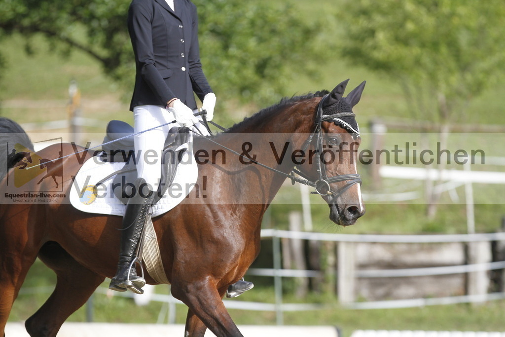 _MG_0093 | equestrian-live-com