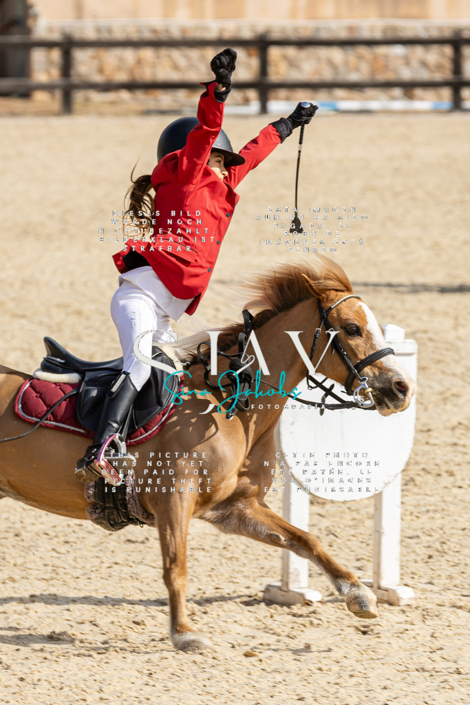 IMG_4368 | s-jay-photography - Realisiert mit Pictrs.com