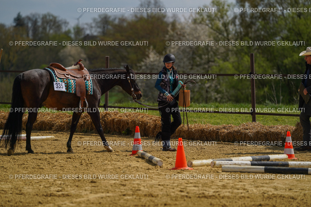 DSC04814 | Pferdegrafie