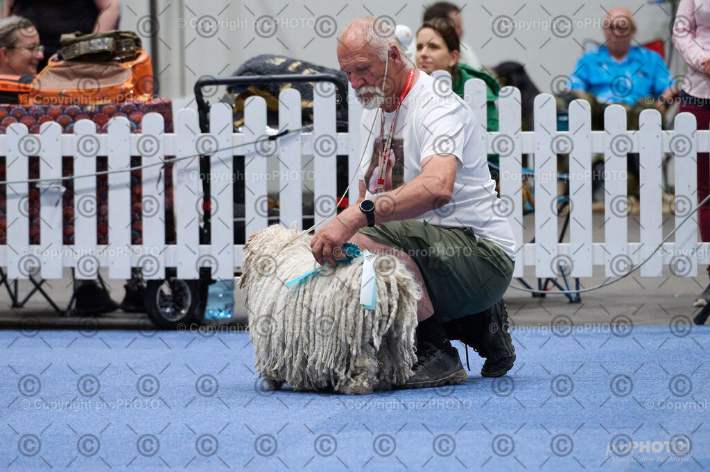 202406_ÖKV-IHA-Tulln24_DSC_2841 | proPHOTO - Realisiert mit Pictrs.com