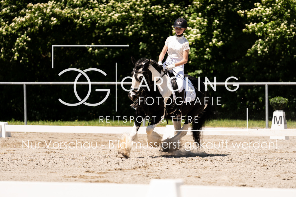 DSC00493 | Turnierfotografin Carolin Gieschke, Turnierfotografie Carolin G Fotografie, Turnierfotos Kirchheim/Teck, Esslingen, Stuttgart, Bodenseekreis