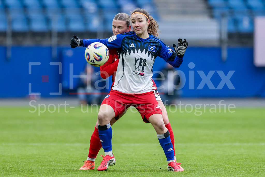 Fussball, Google Pixel Frauen-Bundesliga, Hamburger SV - SC Freiburg | v.li.: Ingibjörg Sigurdardottir (SC Freiburg, 24) und Melanie Brunnthaler (Hamburger SV, HSV, 11) im Zweikampf, Duell, Dynamik, Aktion, Action, Spielszene, DIE DFB-RICHTLINIEN UNTERSAGEN JEGLICHE NUTZUNG VON FOTOS ALS SEQUENZBILDER UND/ODER VIDEOÄHNLICHE FOTOSTRECKEN. DFB REGULATIONS PROHIBIT ANY USE OF PHOTOGRAPHS AS IMAGE SEQUENCES AND/OR QUASI-VIDEO.