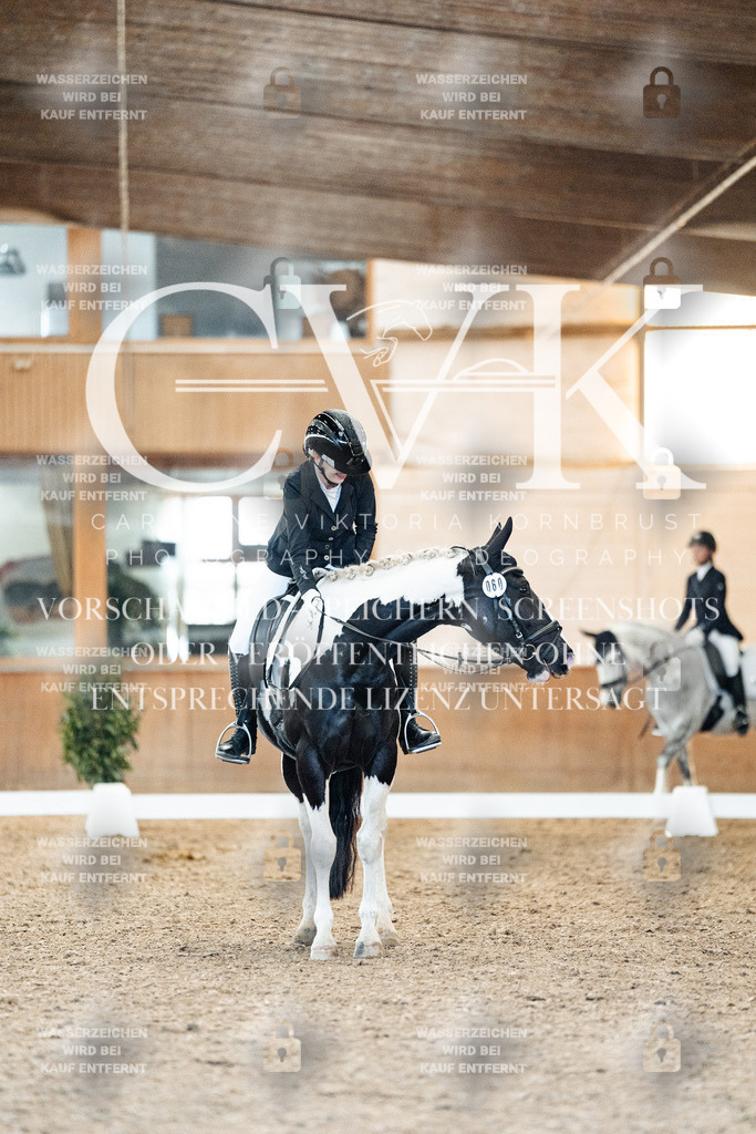 CK907703 | Turnierfotografie Pferdefotografie Trier Rheinland-Pfalz Pferdesport Reitsport Tierfotografie Sportfotografie Pferdevideo Pferdevideografie Equestrianvideography equestrianphotography  - Realisiert mit Pictrs.com
