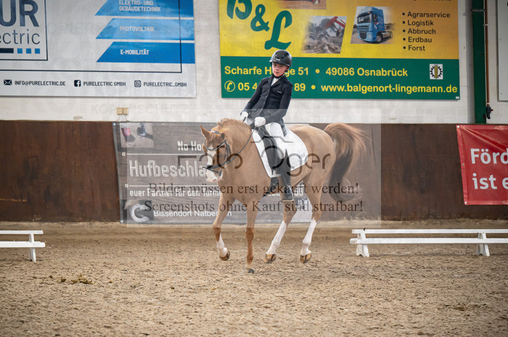 Hallenreittunier Voxtrup 2023 | Entdecke hochwertige Reitturnierfotos von Foto Oger. Professionell, emotional und authentisch – jetzt Lieblingsmomente im Shop bestellen. - Realisiert mit Pictrs.com