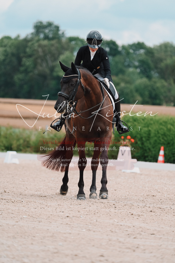 DSC_4196 | Pferde- und Turnierfotografie in Westsachsen. Pferdeportraits, Auftragszeichnungen und intuitive Kunst.