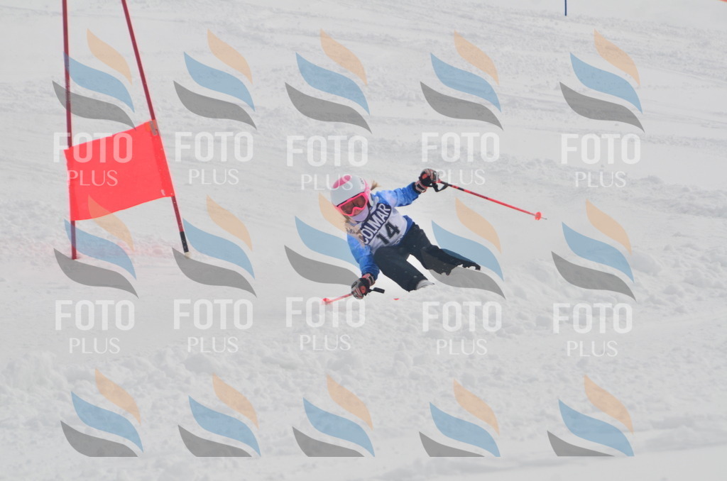 A5103 | holidayphoto