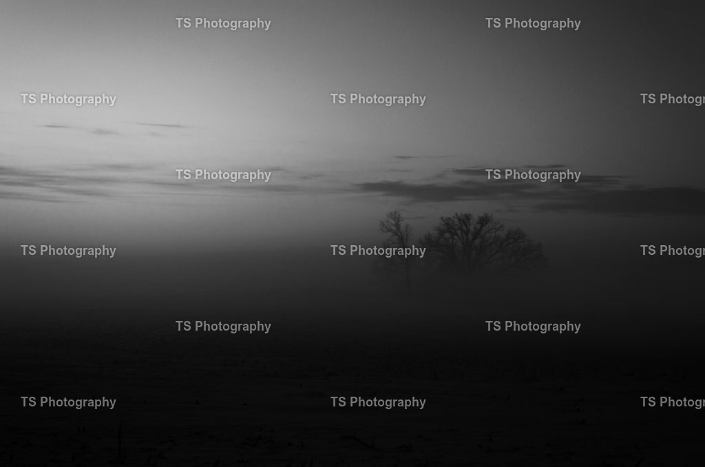 1-06-1025-679 | TS Photography - Realisiert mit Pictrs.com