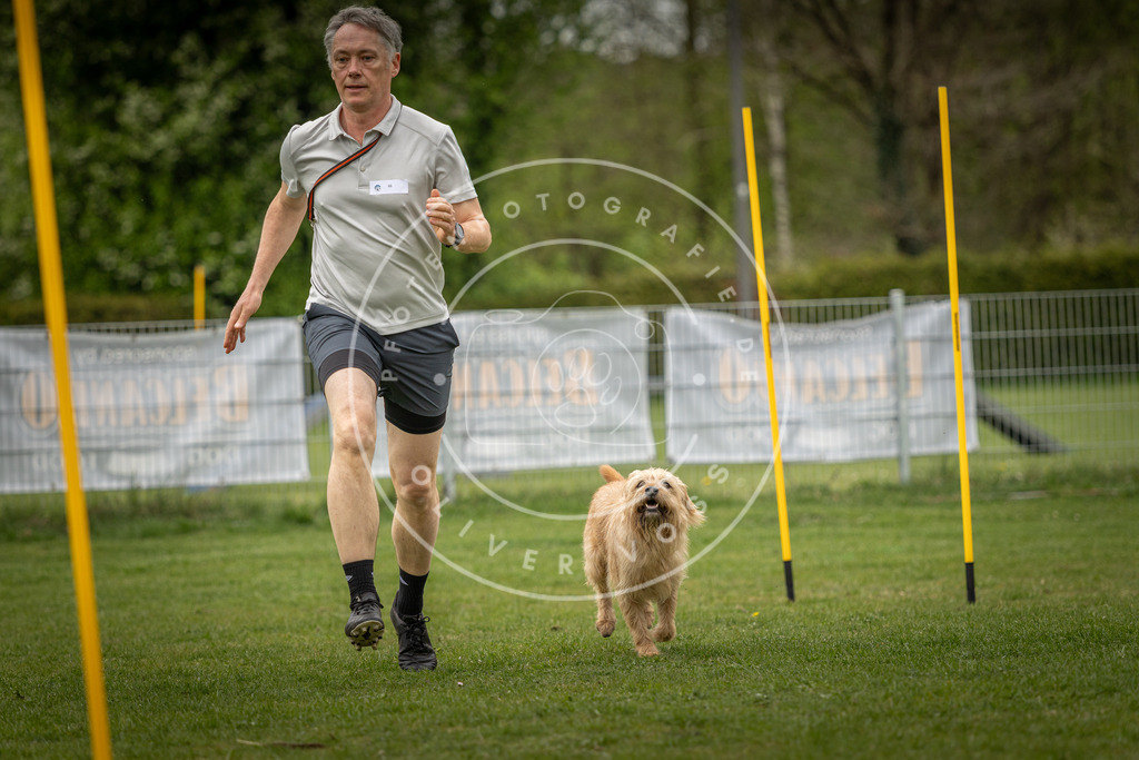 Pfotenfotografie_DV3A2011 | Hundefotografie, Tierfotograf, Pfotenfotografie, Fotoshooting Hund, Hunde Portrait, Hundesport, Hundeportraits, Heideshooting, Hunde, Sportfotograf, Hundefotograf, Turnierhundsport, THS,  - Realisiert mit Pictrs.com
