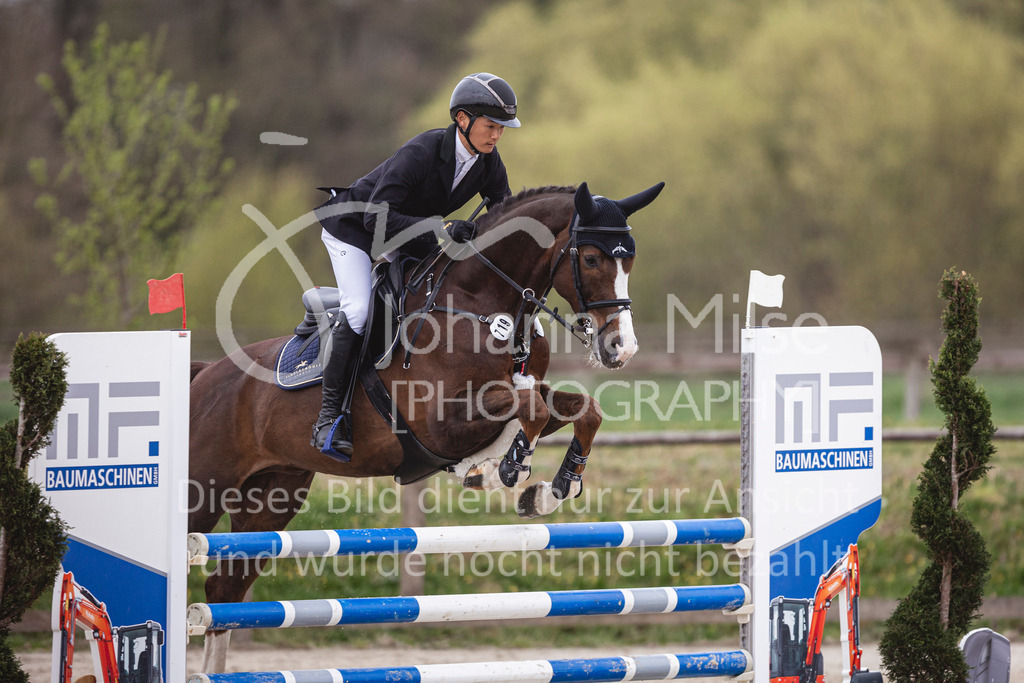 250417_Springpferde-L2-364 | Deine schönsten Turniermomente als professionelle Fotos! Entdecke hochwertige Pferdesport-Fotografie im Online-Shop. Jetzt Fotos finden & bestellen!