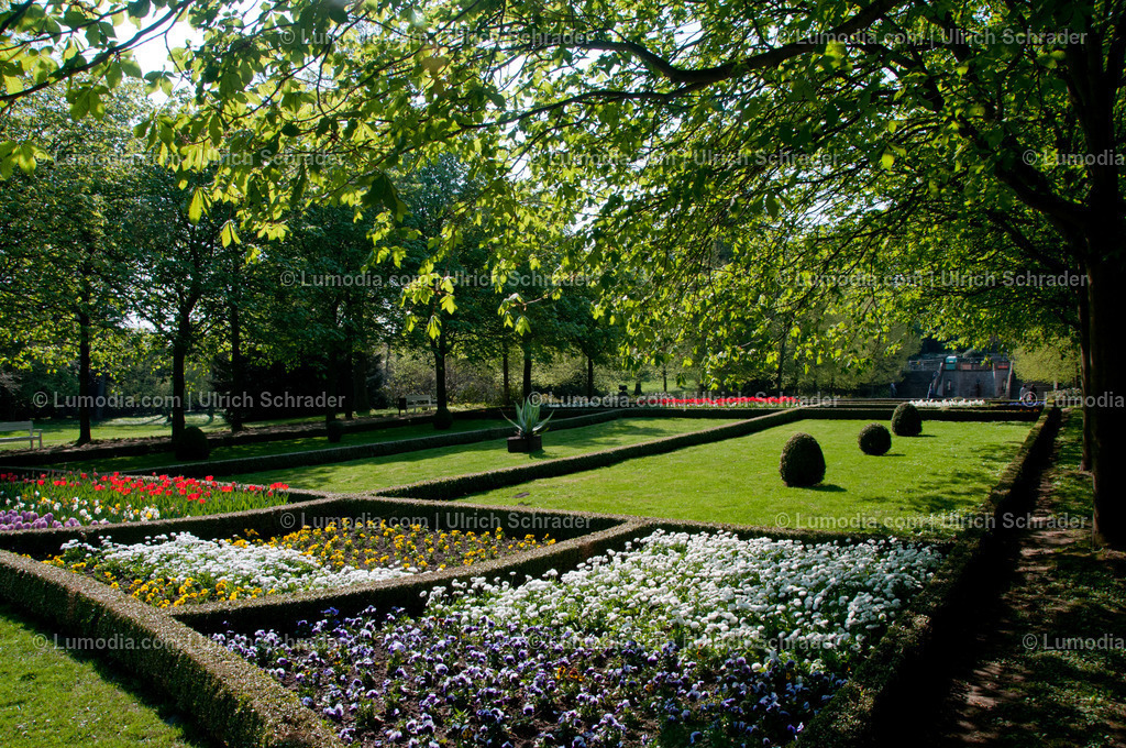 100494-4277 - Schlosspark Ballenstedt | Stockfoto und Bilderpool mit Bildmaterial aus Deutschland, dem Harz, Halberstadt, Quedlinburg, Wernigerode und weltweit. Qualitativ hochwertige und professionelle Fotos anschauen und kaufen. - Realisiert mit Pictrs.com