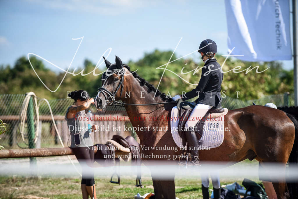 DSC_9701 | Pferde- und Turnierfotografie in Westsachsen. Pferdeportraits, Auftragszeichnungen und intuitive Kunst.