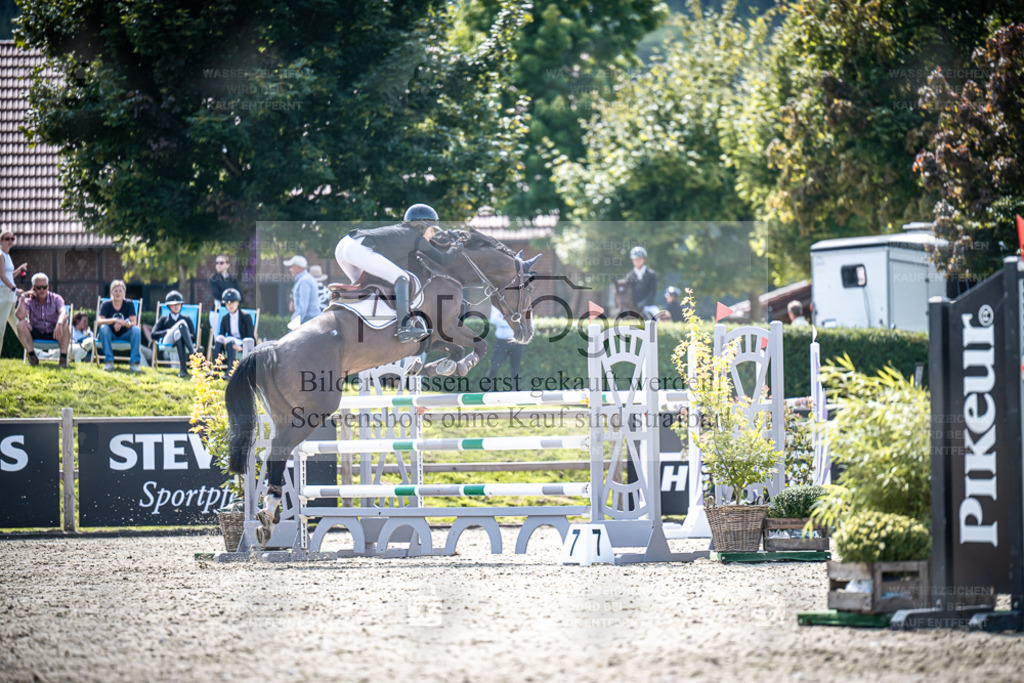 DOS_7773 | Entdecke hochwertige Reitturnierfotos von Foto Oger. Professionell, emotional und authentisch – jetzt Lieblingsmomente im Shop bestellen. - Realisiert mit Pictrs.com