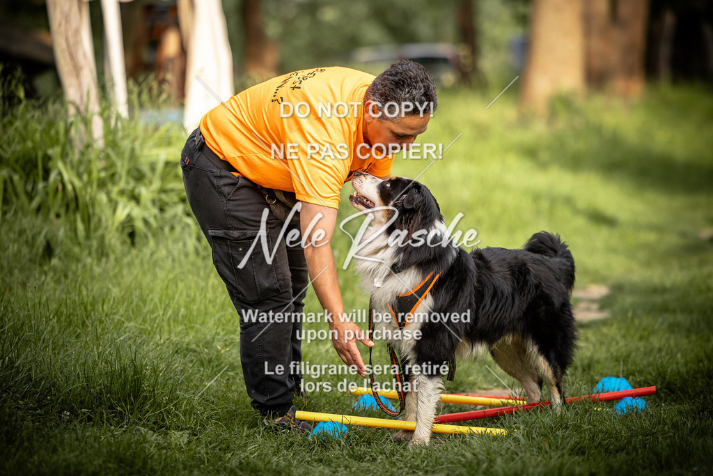 nelerasche_So-earlydog_77 | nelerasche